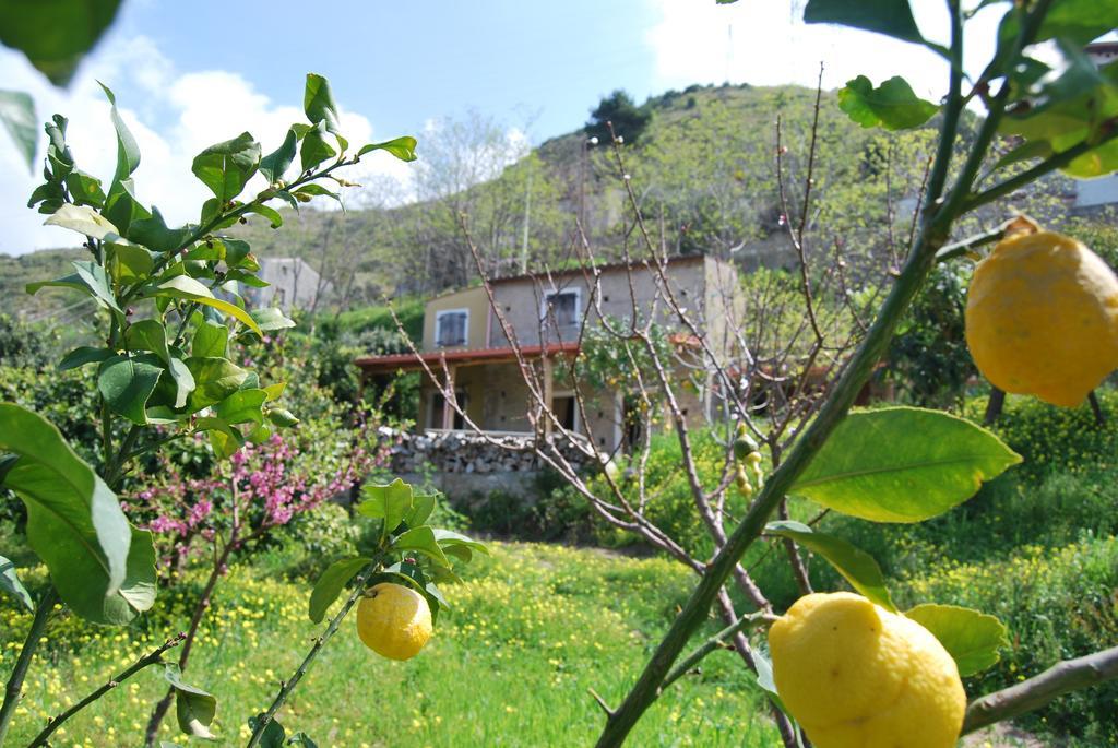 Al Melograno B&B Belmonte Calabro Habitación foto