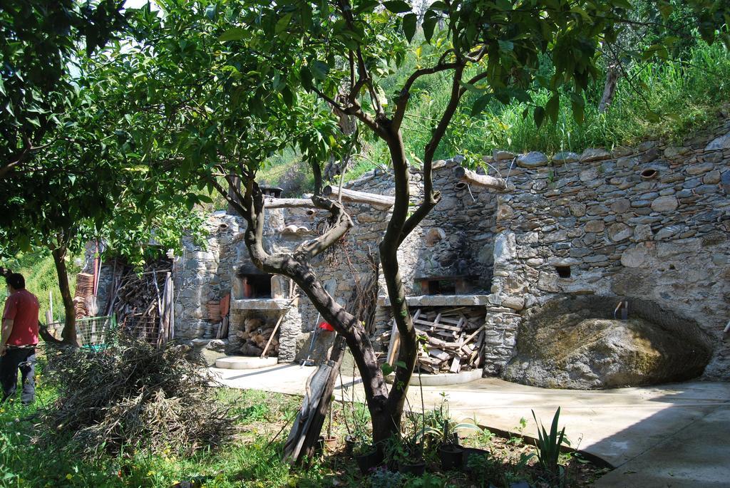 Al Melograno B&B Belmonte Calabro Habitación foto